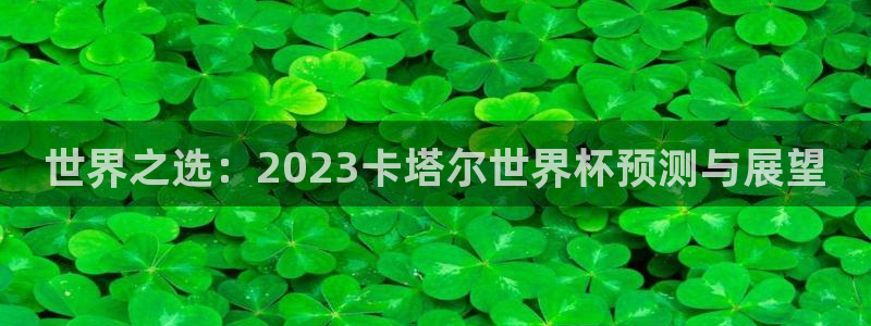 2026年世界杯赛程时间表格：世界之选：2023卡塔尔世界杯预测与展望