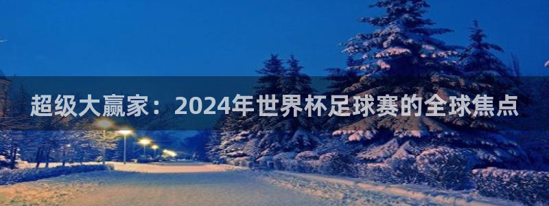 26世界杯：超级大赢家：2024年世界杯足球赛的全球焦点