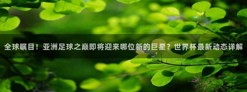 世界杯预选赛欧洲赛区赛程：全球瞩目！亚洲足球之巅即将迎来哪位新的巨星？世界杯最新动态详解
