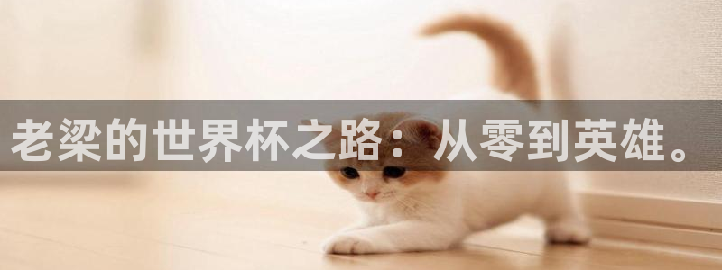世界杯预选赛欧洲赛区积分榜：老梁的世界杯之路：从零到英雄。