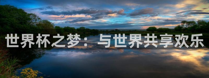 世预赛免费直播入口：世界杯之梦：与世界共享欢乐