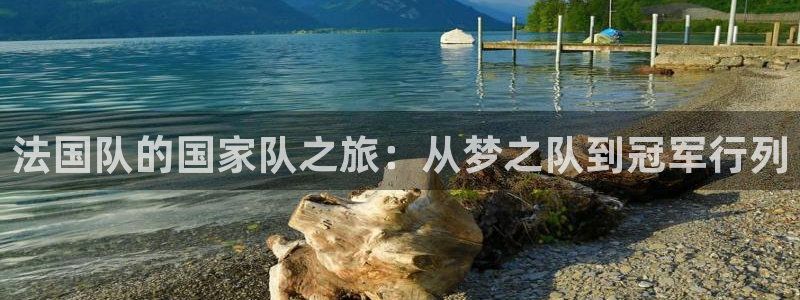 世界杯亚洲区预选赛：法国队的国家队之旅：从梦之队到冠军行列