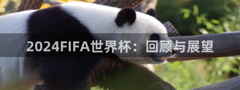 2026世界杯赛程表完整版：2024FIFA世界杯：回顾与展望