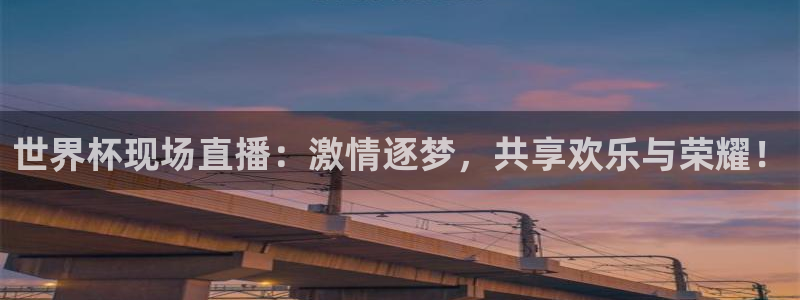 世界杯 中国：世界杯现场直播：激情逐梦，共享欢乐与荣耀！