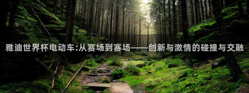 2026世界杯亚洲预选赛：雅迪世界杯电动车:从赛场到赛场——创新与激情的碰撞与交融