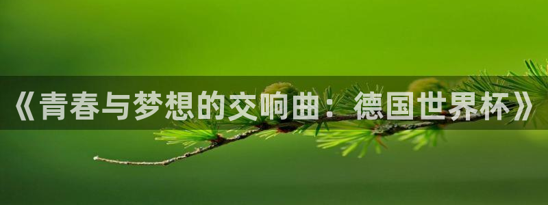 2026年世界杯赛程：《青春与梦想的交响曲：德国世界杯》