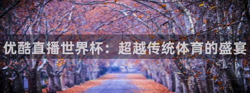 2026世界杯亚洲预选赛赛程：优酷直播世界杯：超越传统体育的盛宴