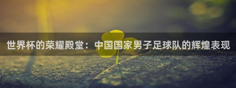 世界杯直播平台：世界杯的荣耀殿堂：中国国家男子足球队的辉煌表现