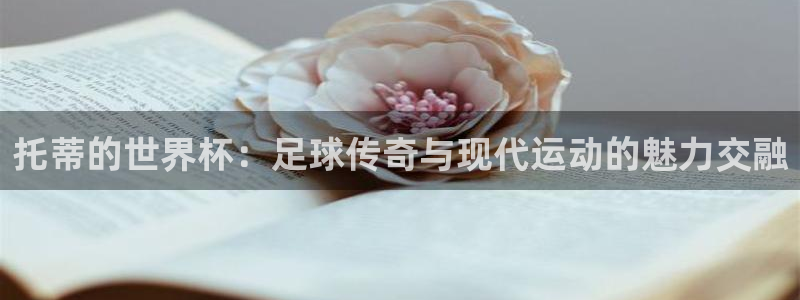 2026足球世界杯赛程：托蒂的世界杯：足球传奇与现代运动的魅力交融