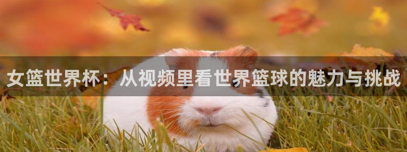 世预赛欧洲赛程表：女篮世界杯：从视频里看世界篮球的魅力与挑战