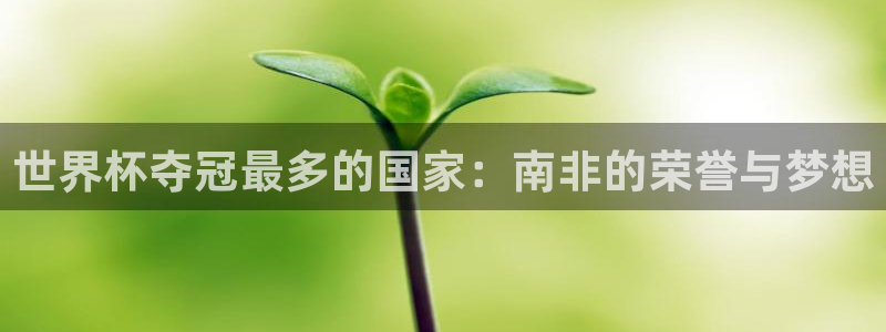 世界杯在线直播：世界杯夺冠最多的国家：南非的荣誉与梦想