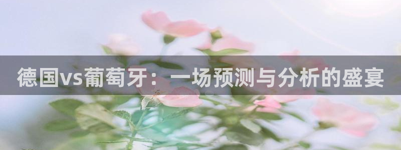世界杯决赛圈球队：德国vs葡萄牙：一场预测与分析的盛宴