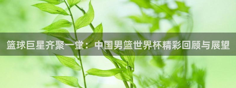 世界杯预选赛直播：篮球巨星齐聚一堂：中国男篮世界杯精彩回顾与展望