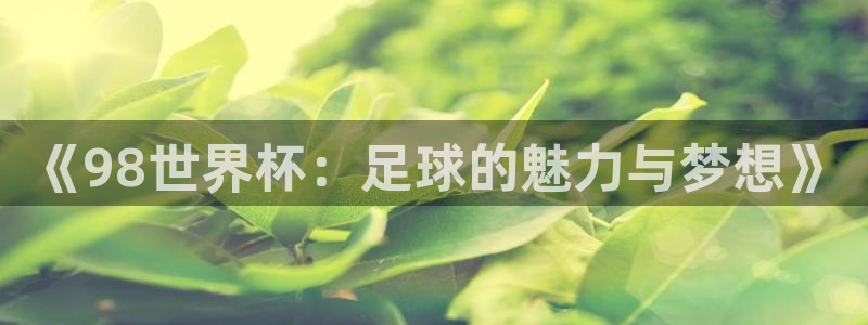 世界杯转播表：《98世界杯：足球的魅力与梦想》