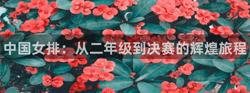 世界杯足球赛2026：中国女排：从二年级到决赛的辉煌旅程