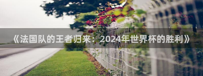 世界杯球队：《法国队的王者归来：2024年世界杯的胜利》