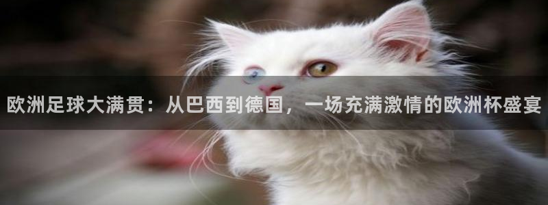 世界杯附加赛赛程表：欧洲足球大满贯：从巴西到德国，一场充满激情的欧洲杯盛宴