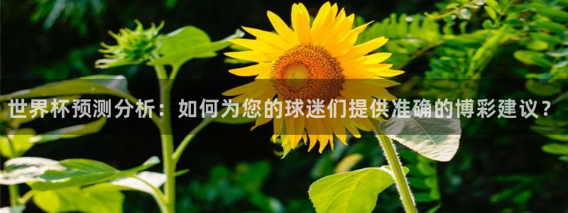 世界杯2026赛程时间表格：世界杯预测分析：如何为您的球迷们提供准确的博彩建议？